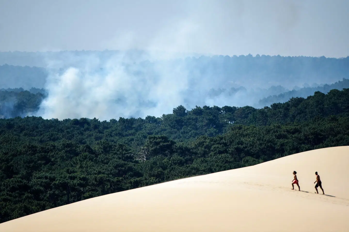 Sommerens hedebølge i Europa har forårsaget skovbrande i blandt andet Frankrig. Gaizka Iroz/Ritzau Scanpix