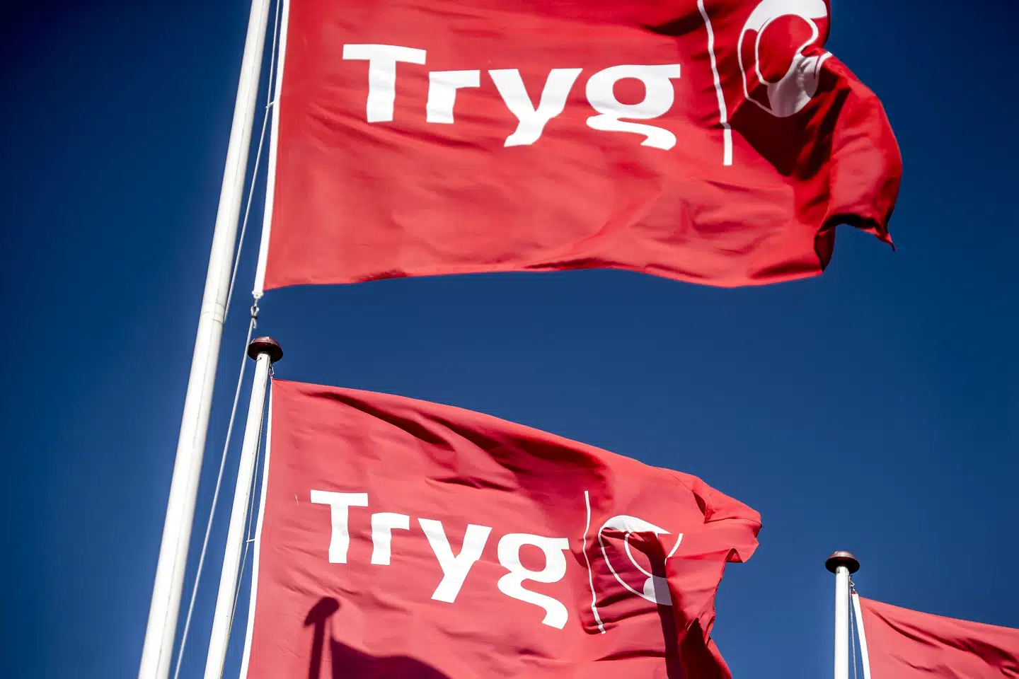 Tryg har i andet kvartal fået et trecifret millionoverskud. (Arkivfoto). Mads Claus Rasmussen/Ritzau Scanpix