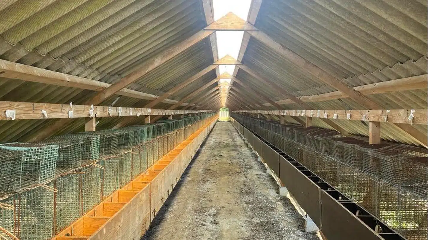 Vestergaard-familiens minkfarm ligger øde hen. »Det er hårdt at se på,« siger Jørgen berørt.