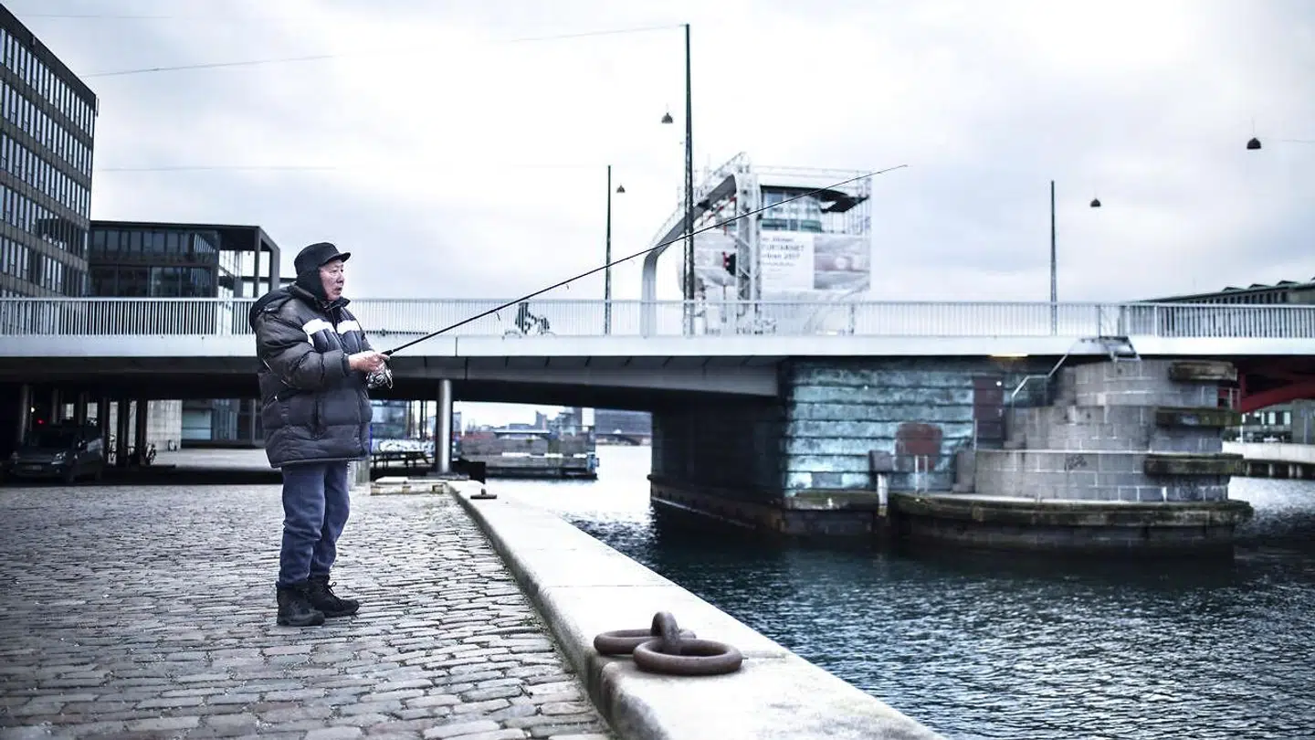 Det er slut med at spise torsk, du selv har fanget i Københavns Havn. (Arkivfoto)