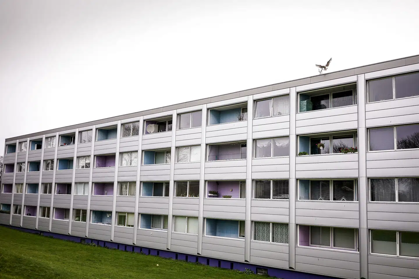 Landsretten har afgjort syv sager om opsagte beboere, men oprindeligt fik knap 100 familier i Nøjsomhed-bebyggelsen besked på at flytte. (Arkivfoto). Liselotte Sabroe/Ritzau Scanpix