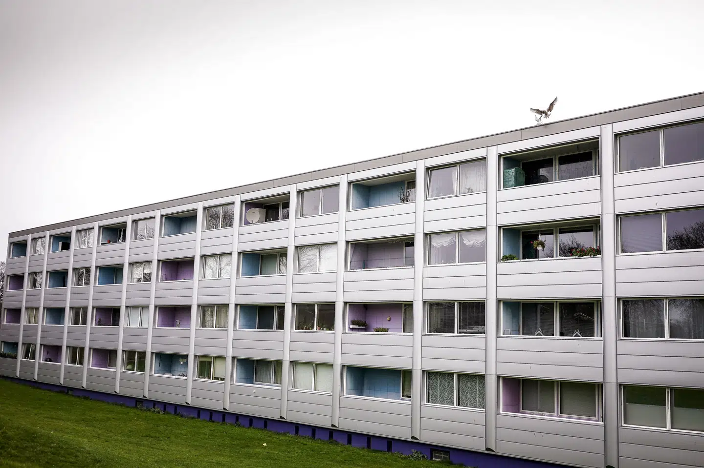 Landsretten har afgjort syv sager om opsagte beboere, men oprindeligt fik knap 100 familier i Nøjsomhed-bebyggelsen besked på at flytte. (Arkivfoto). Liselotte Sabroe/Ritzau Scanpix