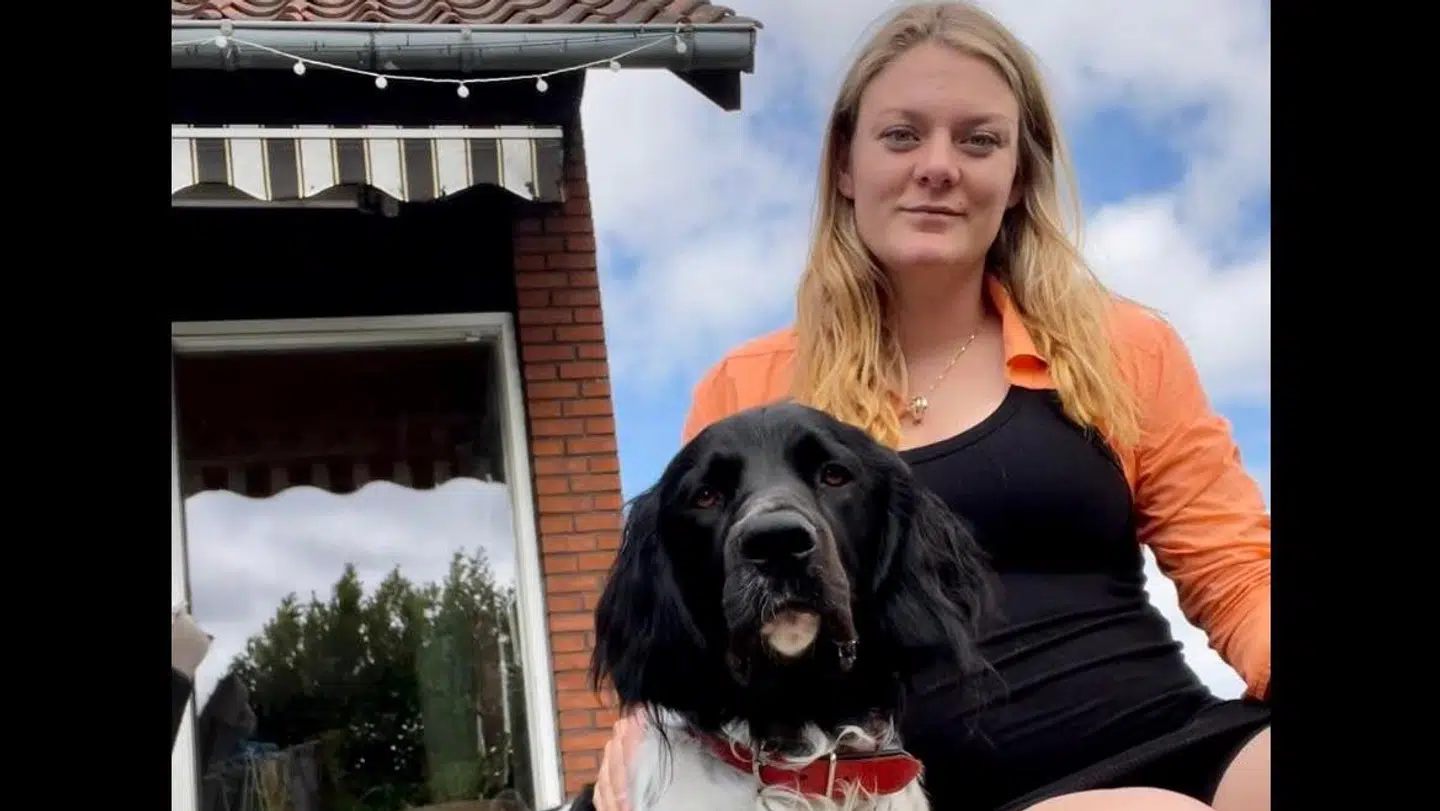 Påkørte du hunden Svend og mødte hans ejer Rikke Søberg Lyngsdal onsdag morgen? Så vil Rikke Søberg Lyngsdal meget gerne i kontakt med dig.