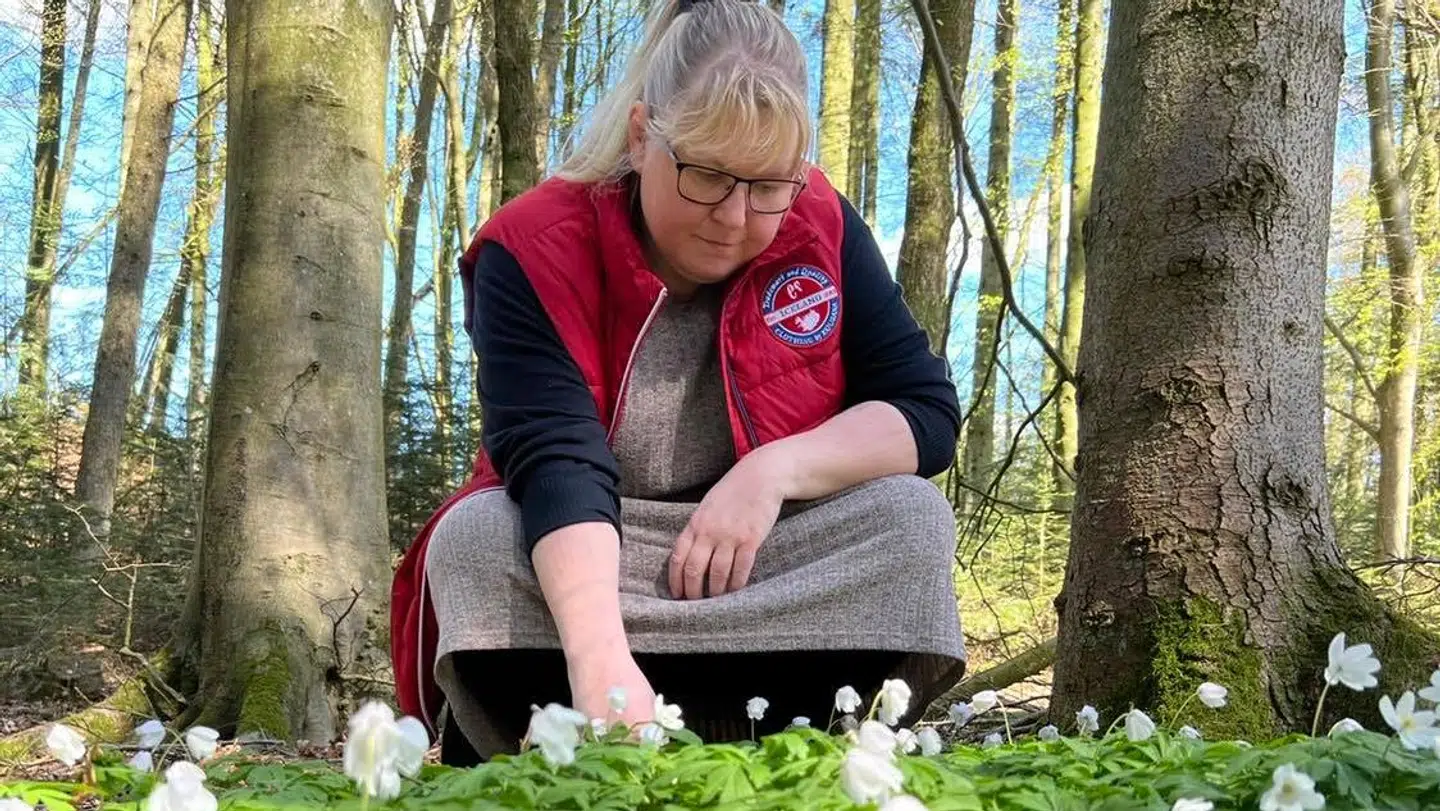 Susanne elsker naturen – særligt gule blomster er et hit.