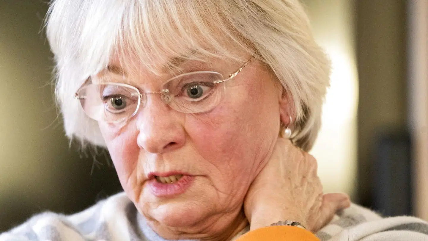 Pia Kjærsgaard - Dansk Folkeparti