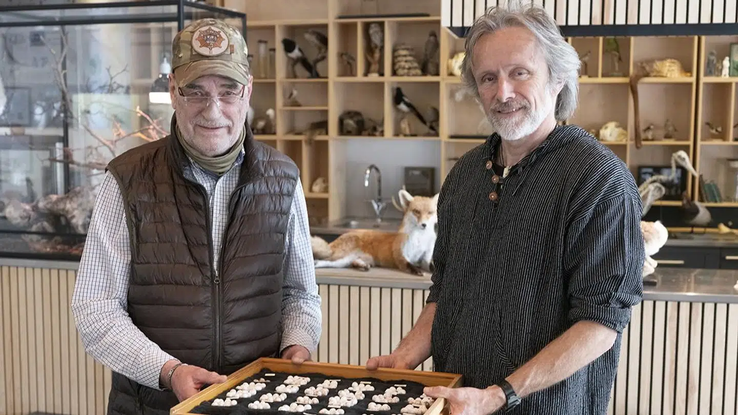 Henrik Lemvigh (tv.) er Danmarks største æggetyv. Nu lever hans samling af æg i magasinerne på det naturhistoriske museum Naturama i Svendborg.