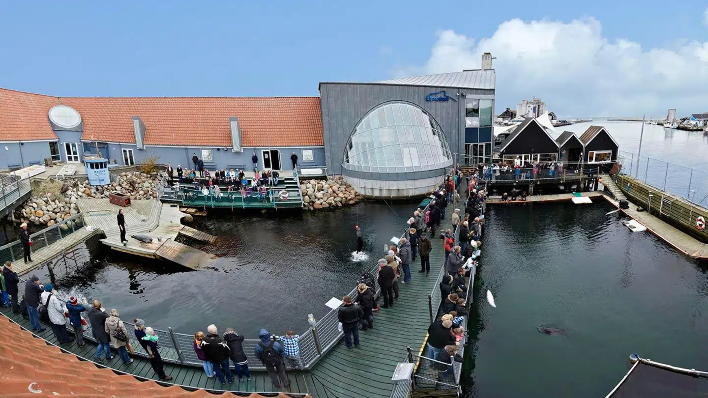 Fjord&Bælt Centret i Kerteminde har fået en stor bevilling til at udvide og skabe bedre oplevelser.