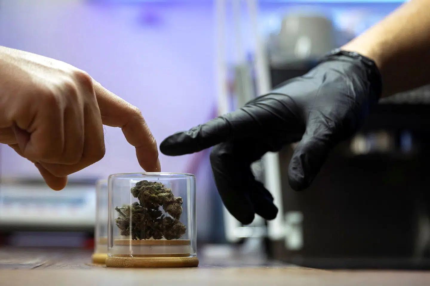 En kunde ser på udvalget på udvalget af hash på Highland Café i Bangkok, Thailand. Fra 9. juni 2022 er cannabis ikke længere ulovligt i Thailand.