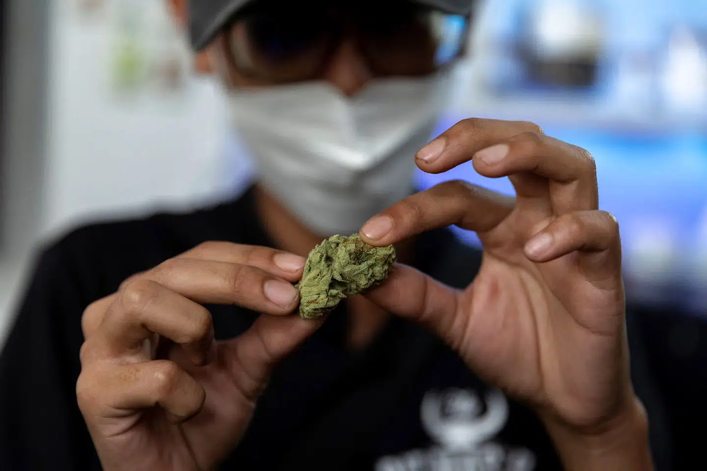 Kunden Rittipomng Bachkul holder et stykke cannabis op fra butikken Highland Café i Bangkok, Thailand.