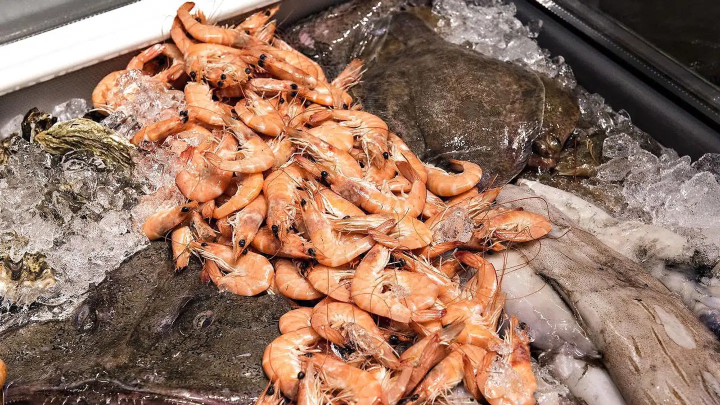 Der er gode penge i at forhandle fisk.