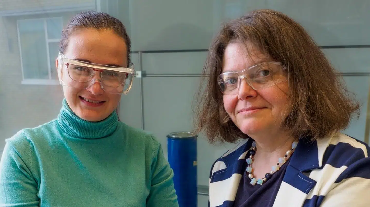 Professor Anja-Verena Mudring har ansat ukrainske Alina Fedorets.