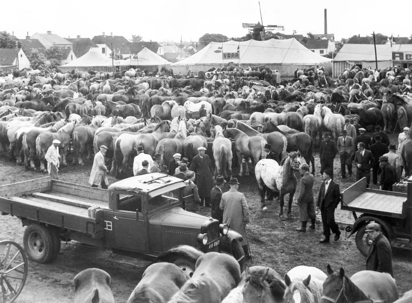 1946 var et af årene, hvor der var op til 20.000 heste. Foto: Hjallerup Marked