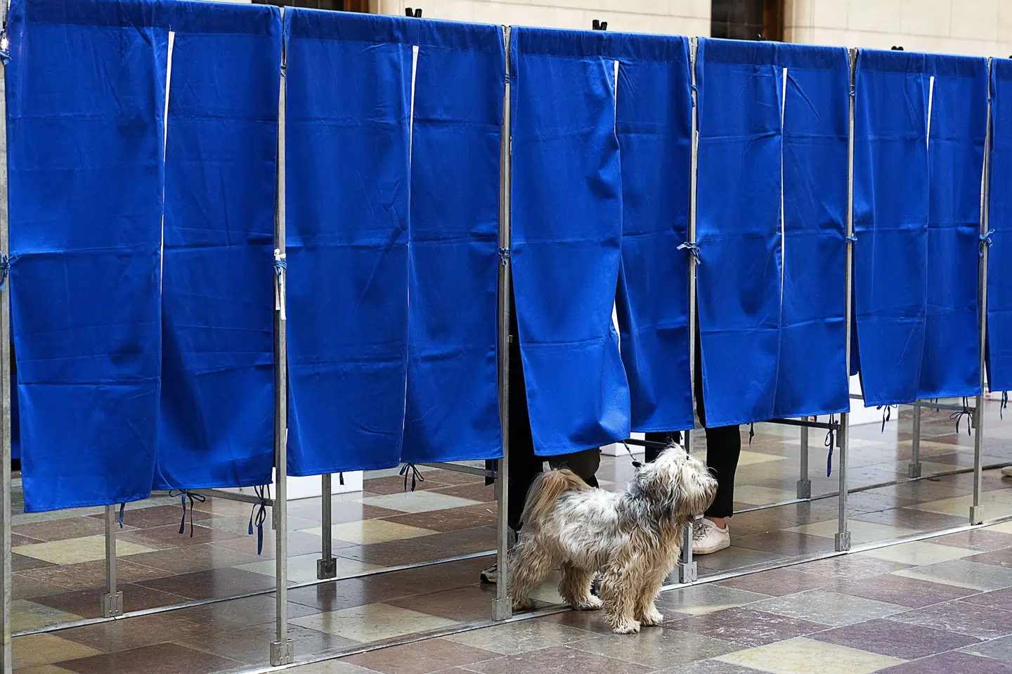 Der var færre vælgere i stemmeboksen onsdag end ved seneste EU-afstemning i 2015. Claus Bech/Ritzau Scanpix