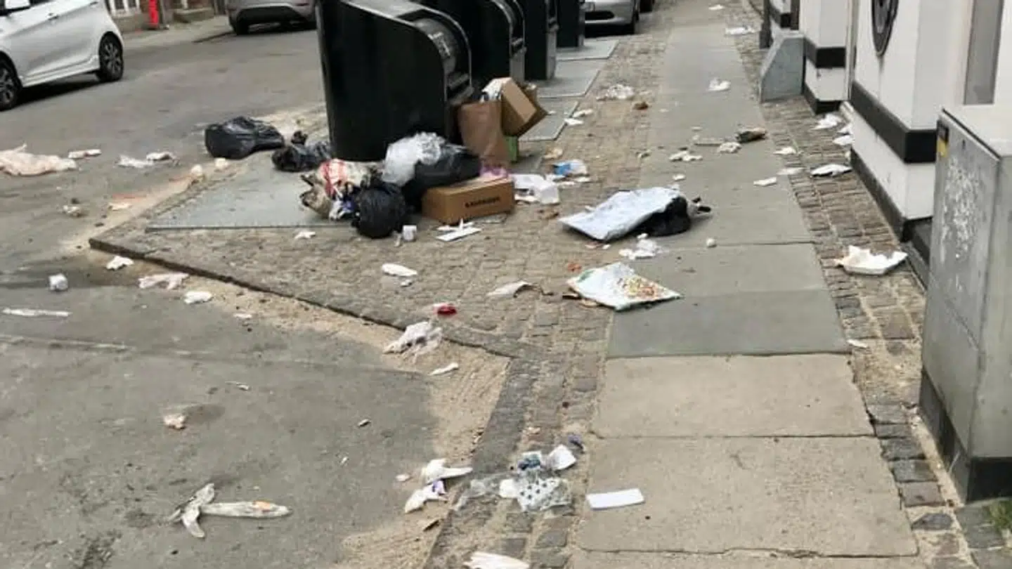 I Karina Lykke Laibjørns kvarter er skrald på gaden blevet normalt, efter de måtte sige farvel til deres normale containere.