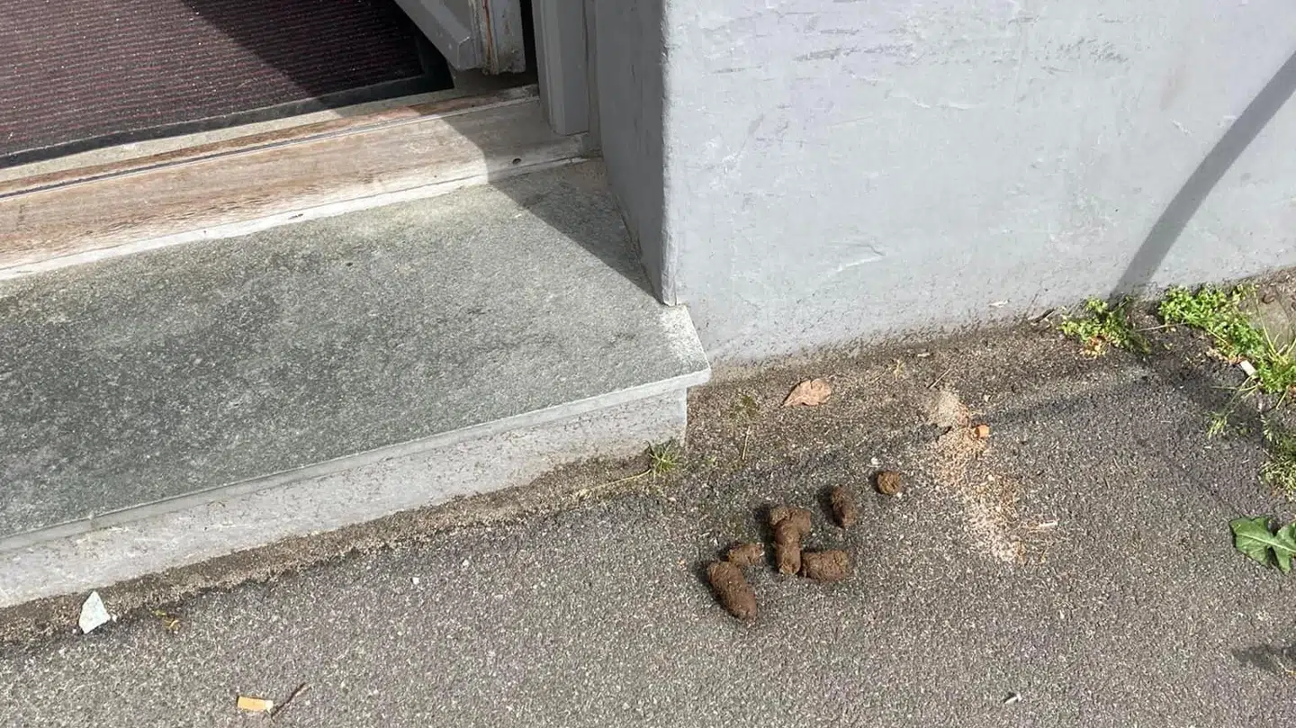 Synet, der lørdag mødte Tanja Sørensen, da hun trådte ud af sin hoveddør.