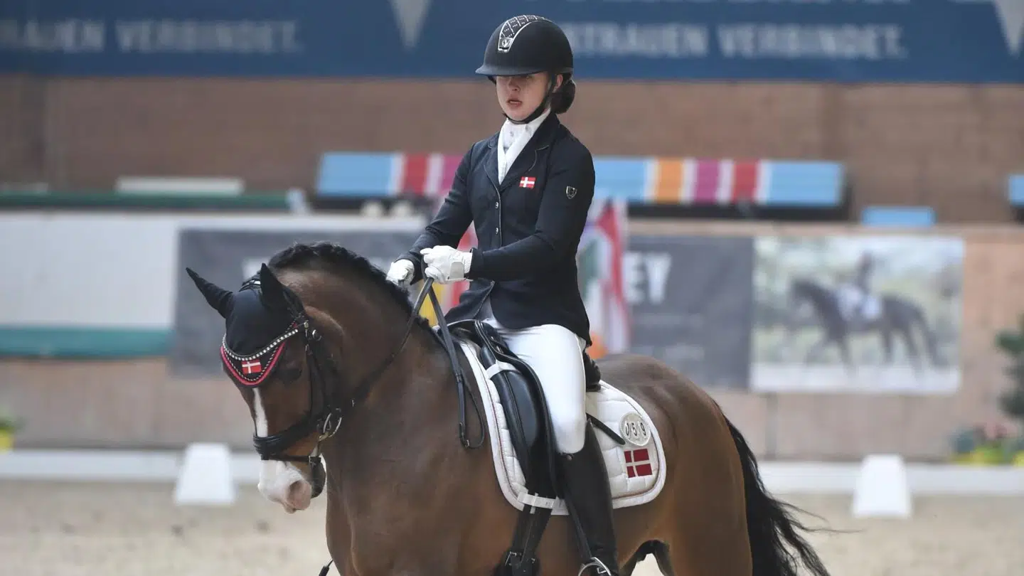 Spartacus var en fremragende konkurrencepony, indtil han pludselig ikke var en pony længere.