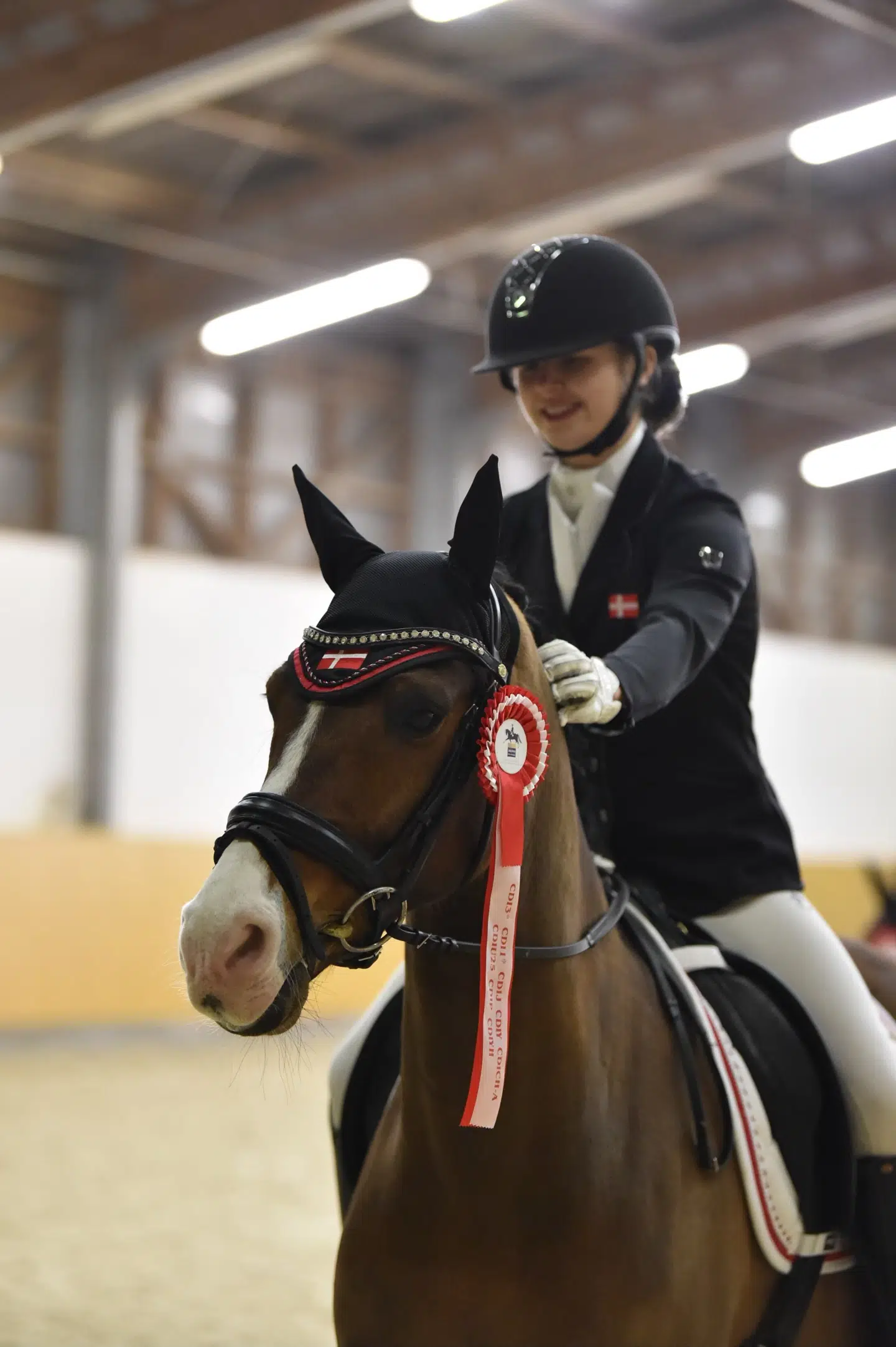 Spartacus med Lea Torabi i 2017, da ingen anede uråd om, at Spartacus slet ikke var en pony, men en hest.
