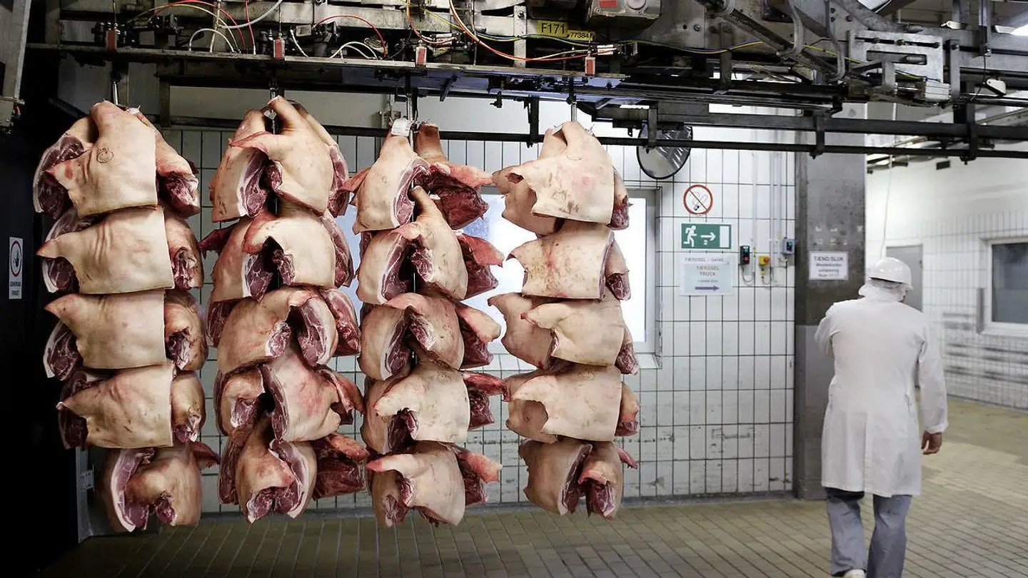 ARKIVFOTO 2012 fra Danish Crown i Ringsted. (Foto: LISELOTTE SABROE/Scanpix 2017)