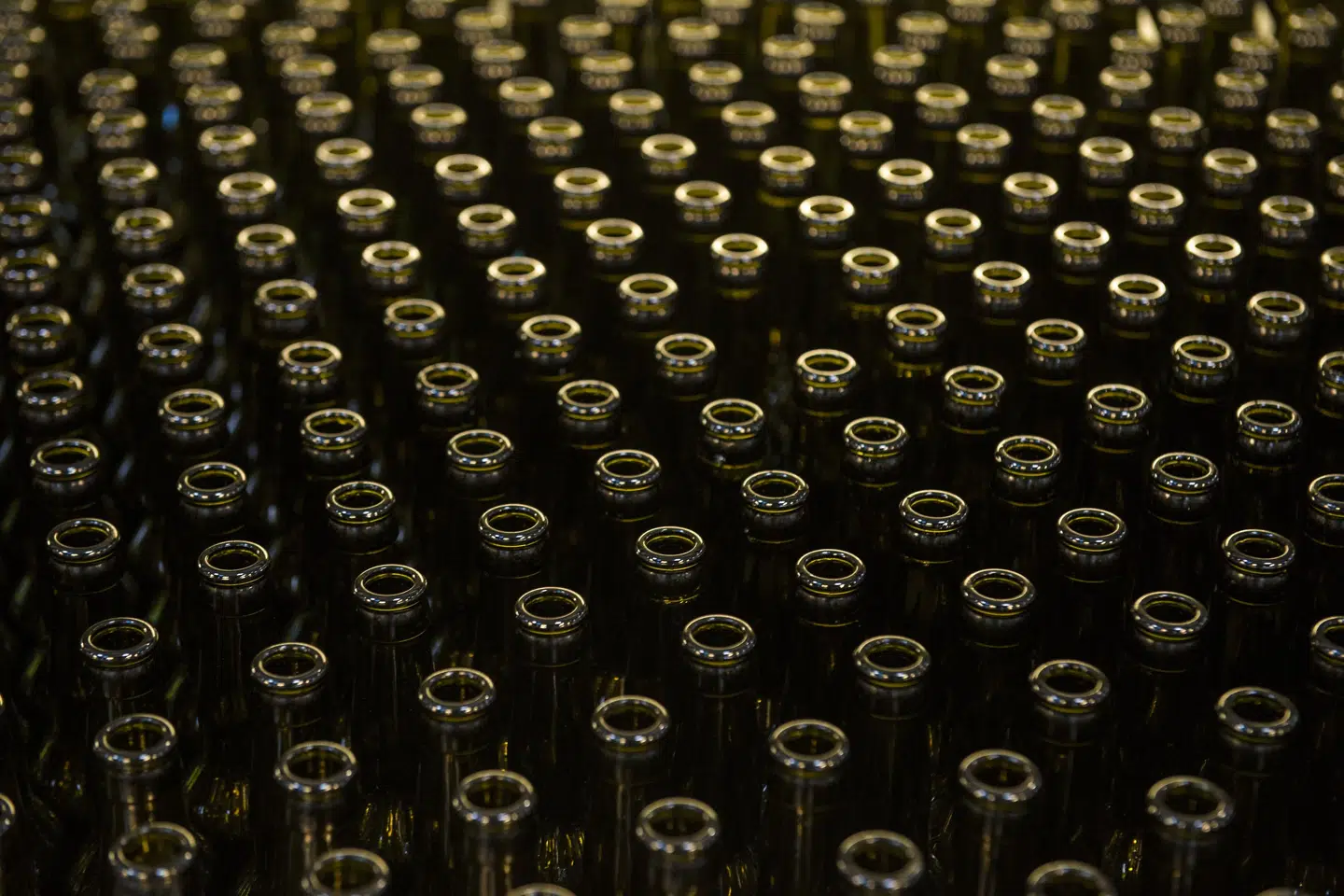 Ølflasker kan blive en mangelvare i Tyskland i kraft af de stigende energipriser, lyder det fra Tyskland (Arkivfoto). Søren Bidstrup/Ritzau Scanpix