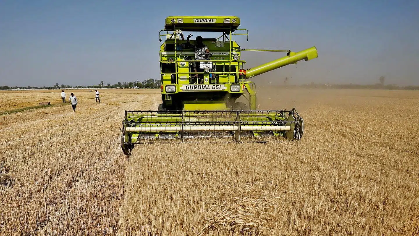 Hvedepriserne er steget med næsten 80 procent på et år. Det gør rigtig ondt på verdens fattigste lande – og også på os andre.