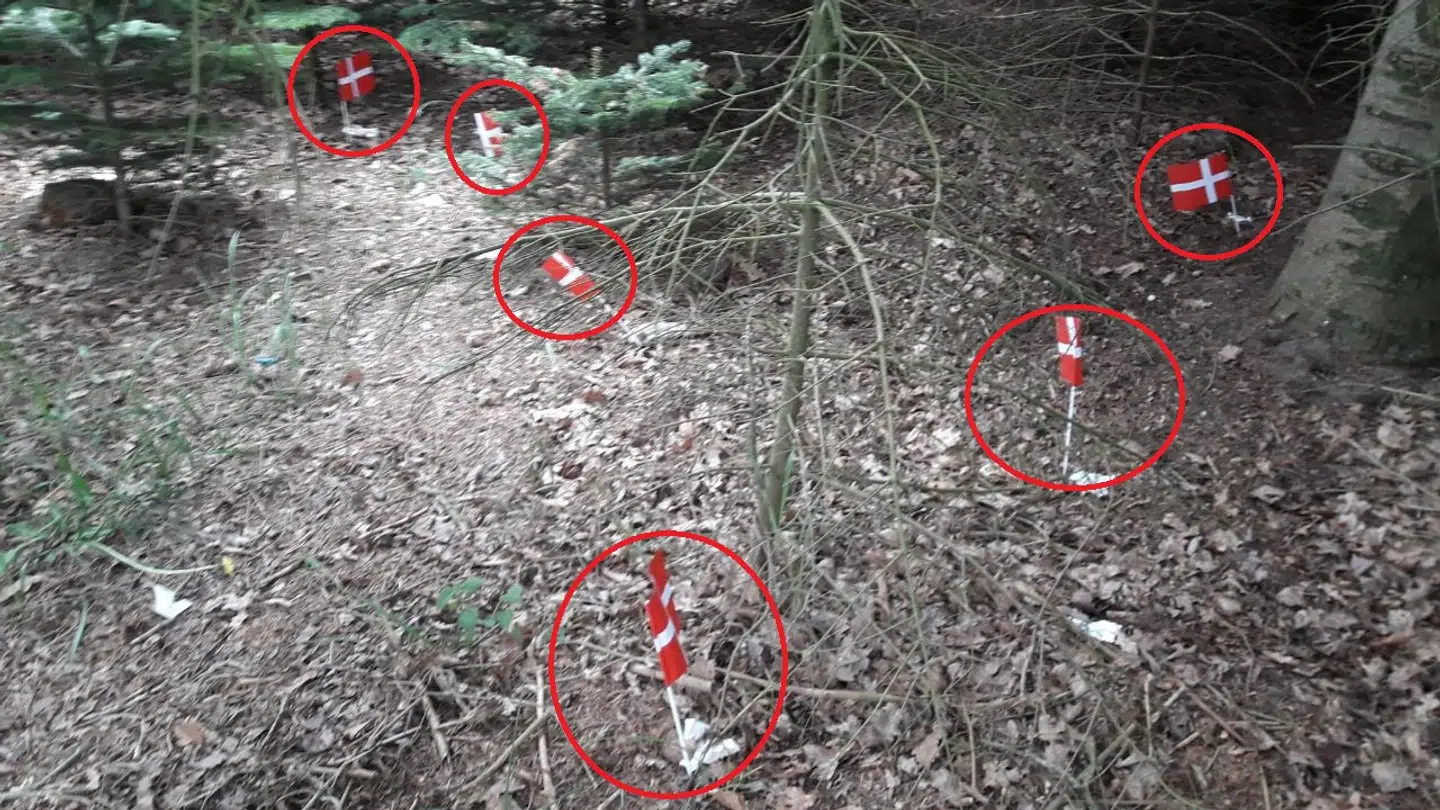 På dette lille område har Jørgen Holm fundet seks menneskelorte