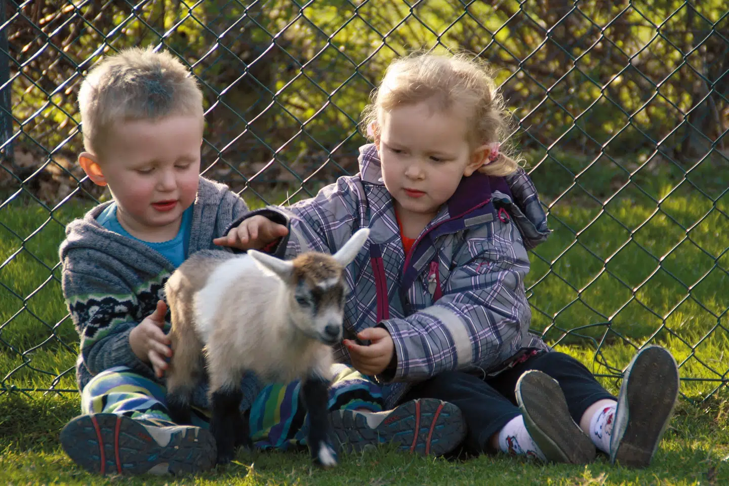 Der er også dejligt for de mindste i Munkholm Zoo.