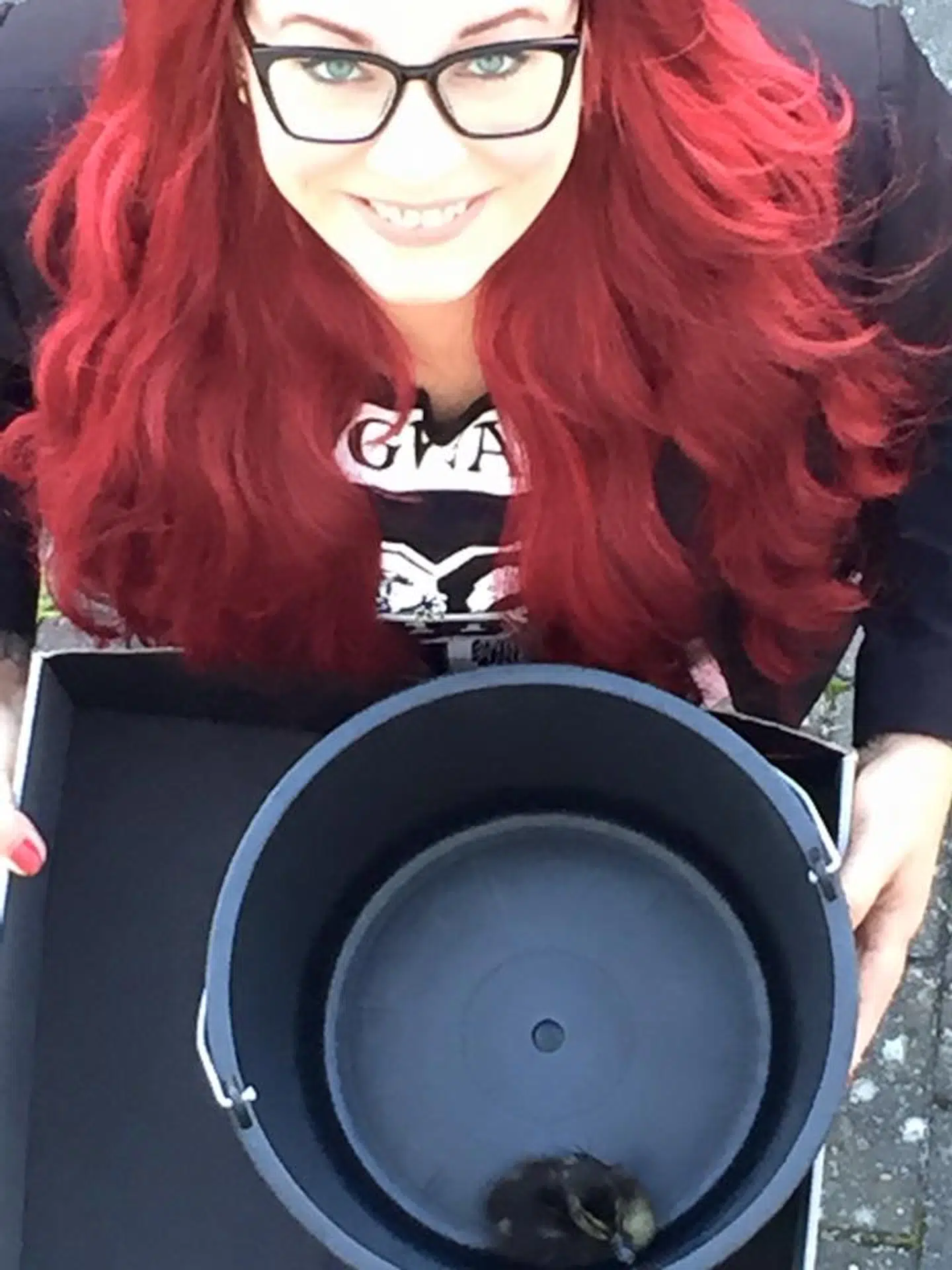 Det er lykkedes Tania Larsen Kvist at redde ællingerne alle årerne. Et år faldt en ælling dog i et afløbsrør, og dagen efter kunne den heldigvis blive genforenet med sine søskende og mor.