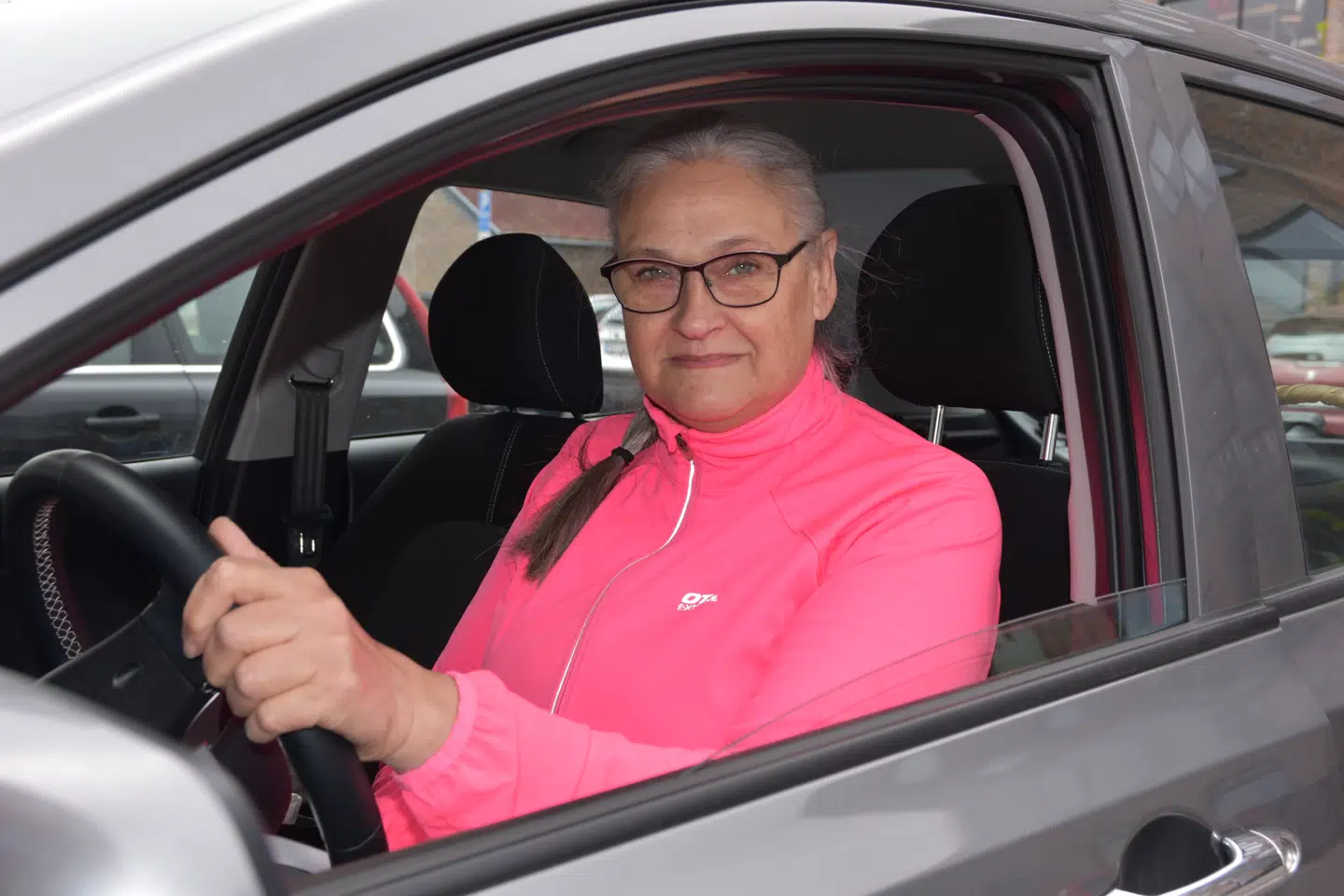 Ingrid Persson er endnu en i statistikken over folk, der er blevet ramt af sten på E65