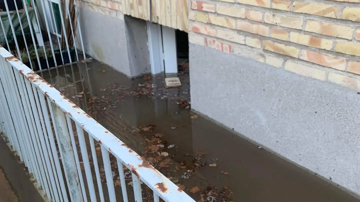 Ved et af Ulf Haxens naboer ses vandet fylde hele trappenedgangen til kælderen. Privatfoto