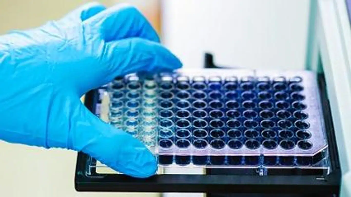 Det er laboratorieudstyr, der har skudt økonomien hos Ramcon i vejret.