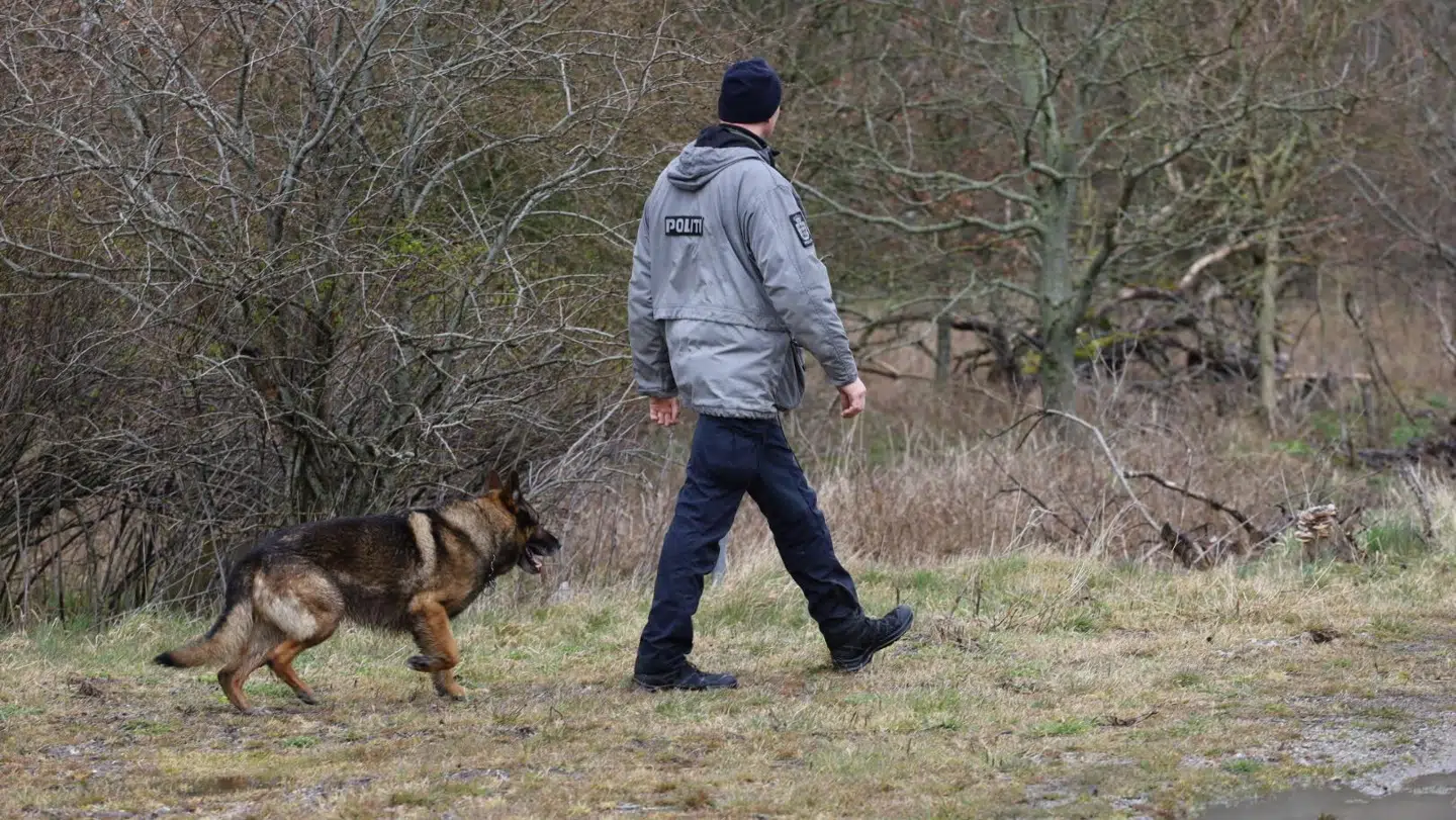 Hundepatruljer er på stedet som en del af efterforskningen.