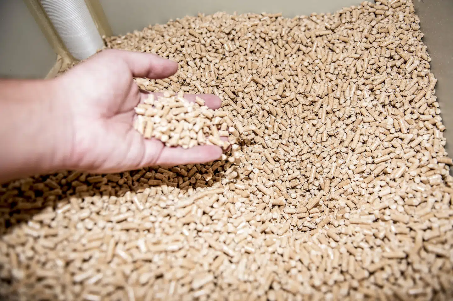 Træpiller er ligesom andre varmekilder også blevet dyrere. (Arkivfoto) Mads Claus Rasmussen/Ritzau Scanpix