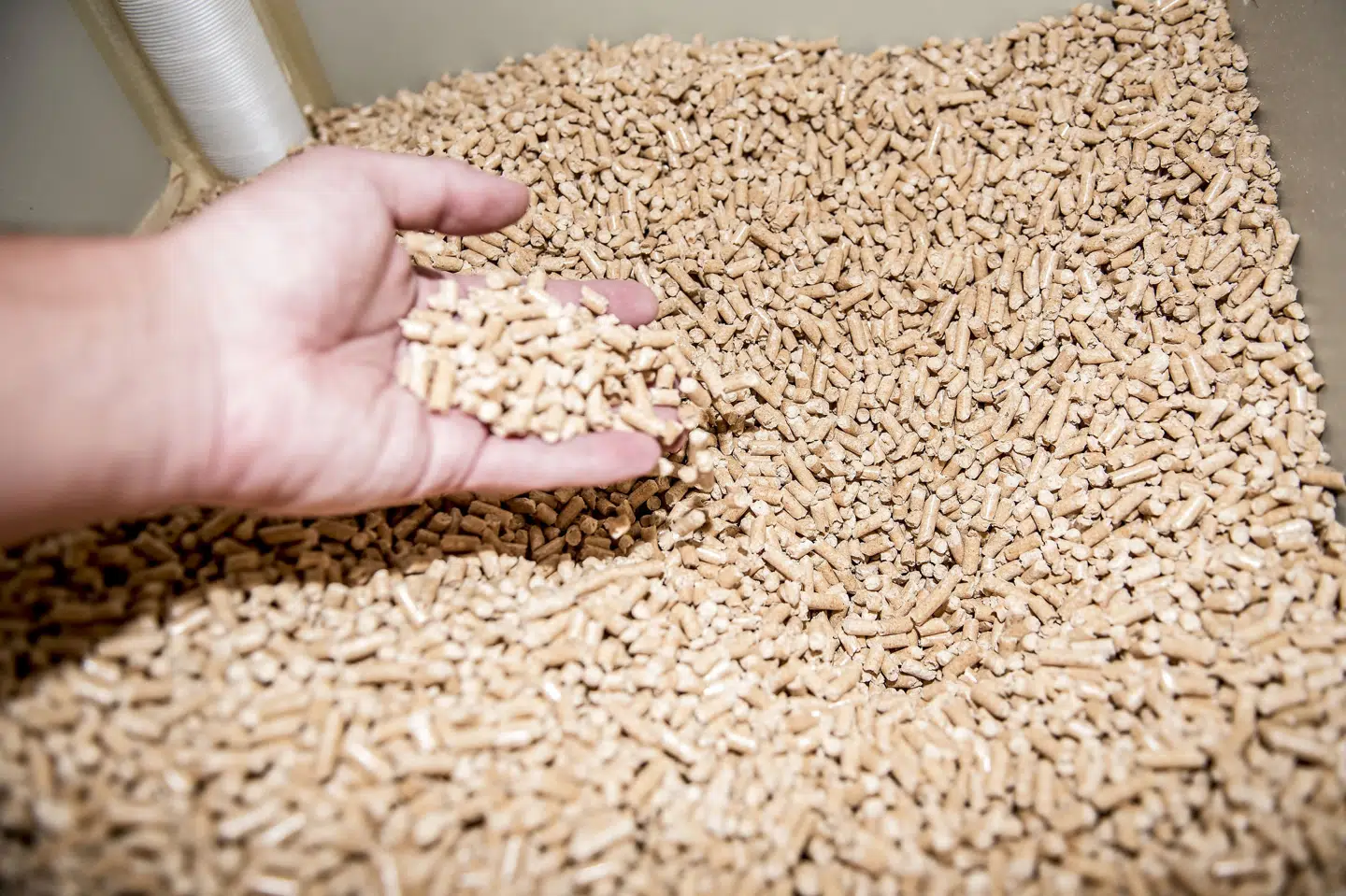 Træpiller er ligesom andre varmekilder også blevet dyrere. (Arkivfoto) Mads Claus Rasmussen/Ritzau Scanpix