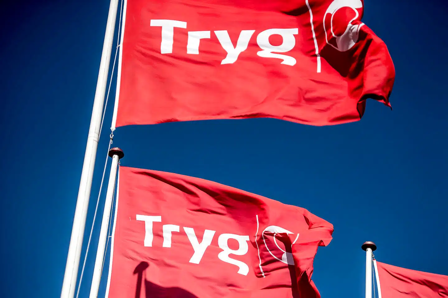 Tryg er det største skadeforsikringsselskab i Danmark og det næststørste i Norden. Nu truer en retssag om manglende varsling til kunderne om prisstigninger på forsikringerne.