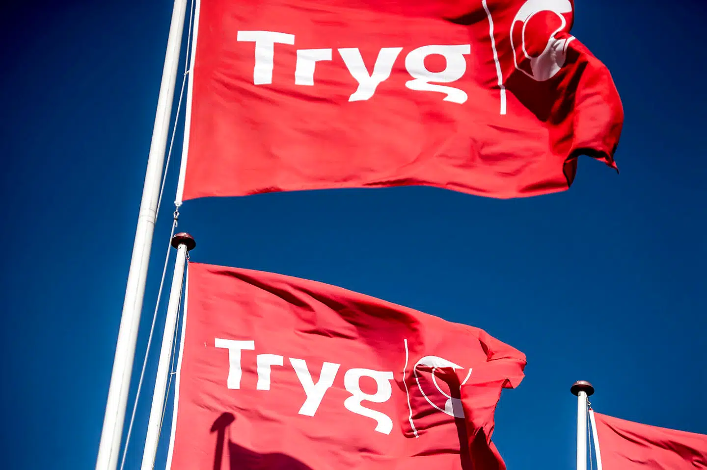 Trygs kunder får i år udbetalt otte procent af deres præmie i bonus.