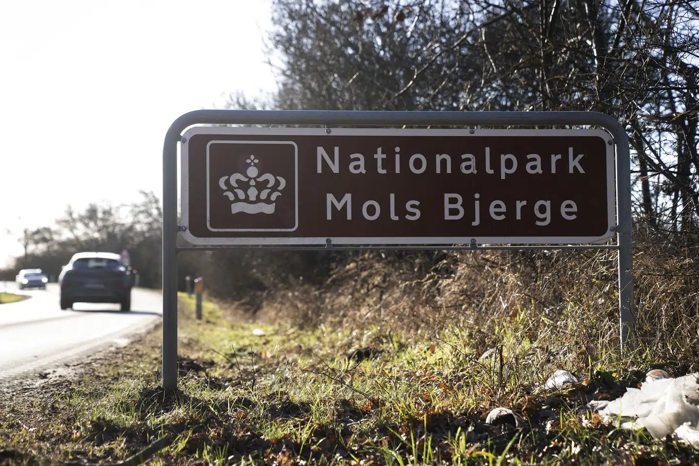 Mols Bjerge er i dag nationalpark, men skal fremover være naturnationalpark. Det har på forhånd skabt debat i lokalområdet. (Arkivfoto). Bo Amstrup/Ritzau Scanpix