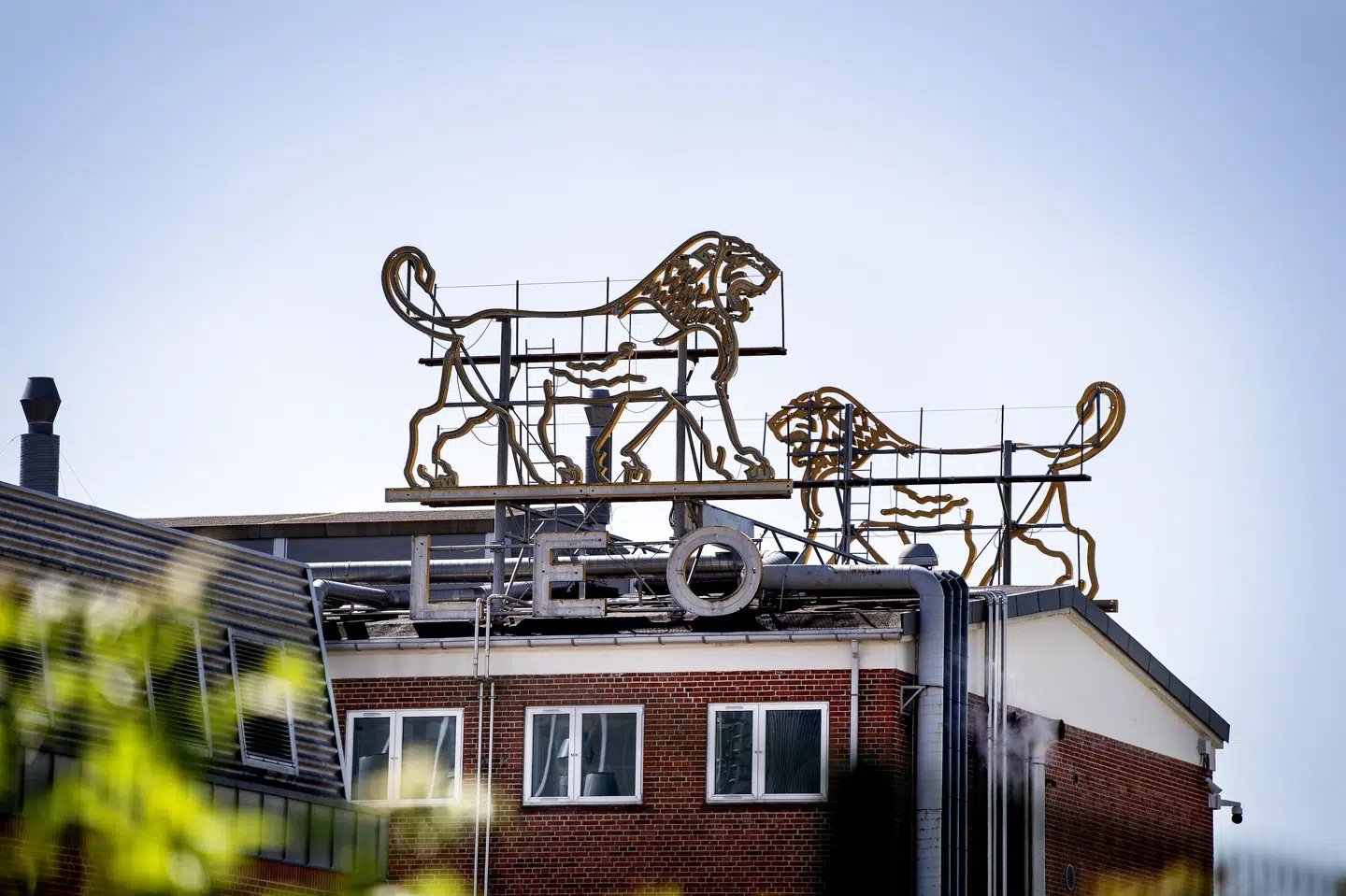 Leo Pharma blev stiftet i 1908 under navnet Løvens Kemiske Fabrik og har hovedsæde i Ballerup. (Arkivfoto). Liselotte Sabroe/Ritzau Scanpix