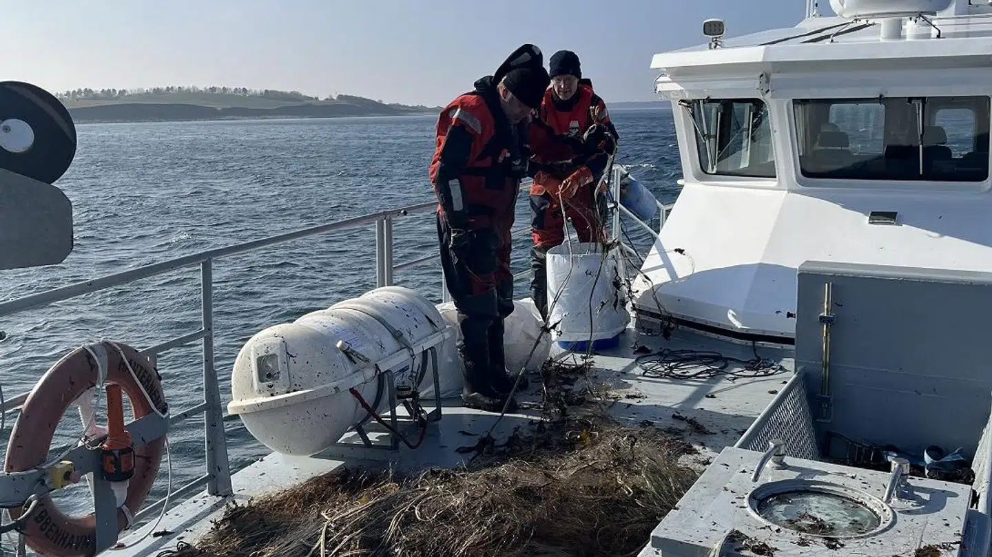 Fiskeristyrelsen fandt 36 ulovlige garn, da de patrulerede ved Odense Fjord og Dalby Bugt i sidste uge.
