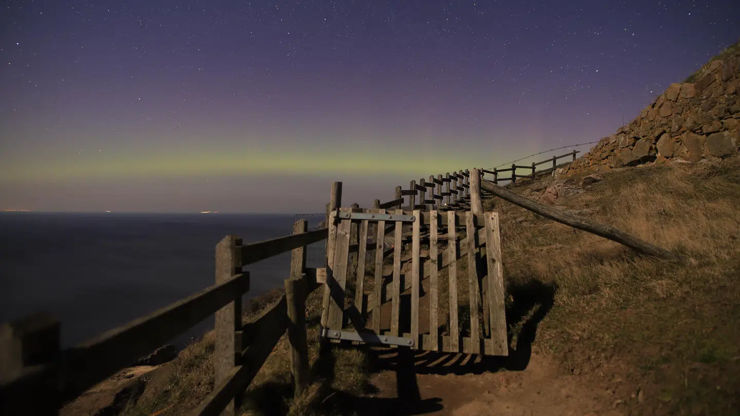 Foto: presse-fotos.dk