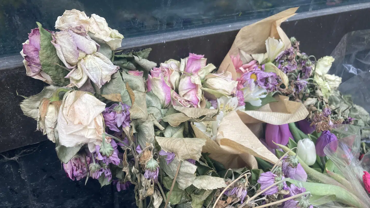 Flere af blomsterne er begyndt at visne.