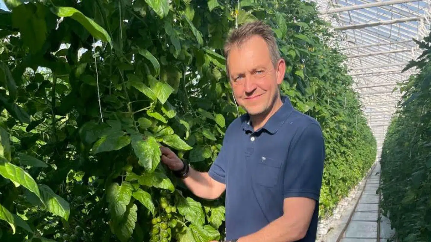 Michael Kongstad er medejer af gartneriet Glade Grøntsager, og de stigende energipriser har store konsekvenser for medarbejdere, omsætning og ikke mindst for priserne på danske grøntsager. Privatfoto.