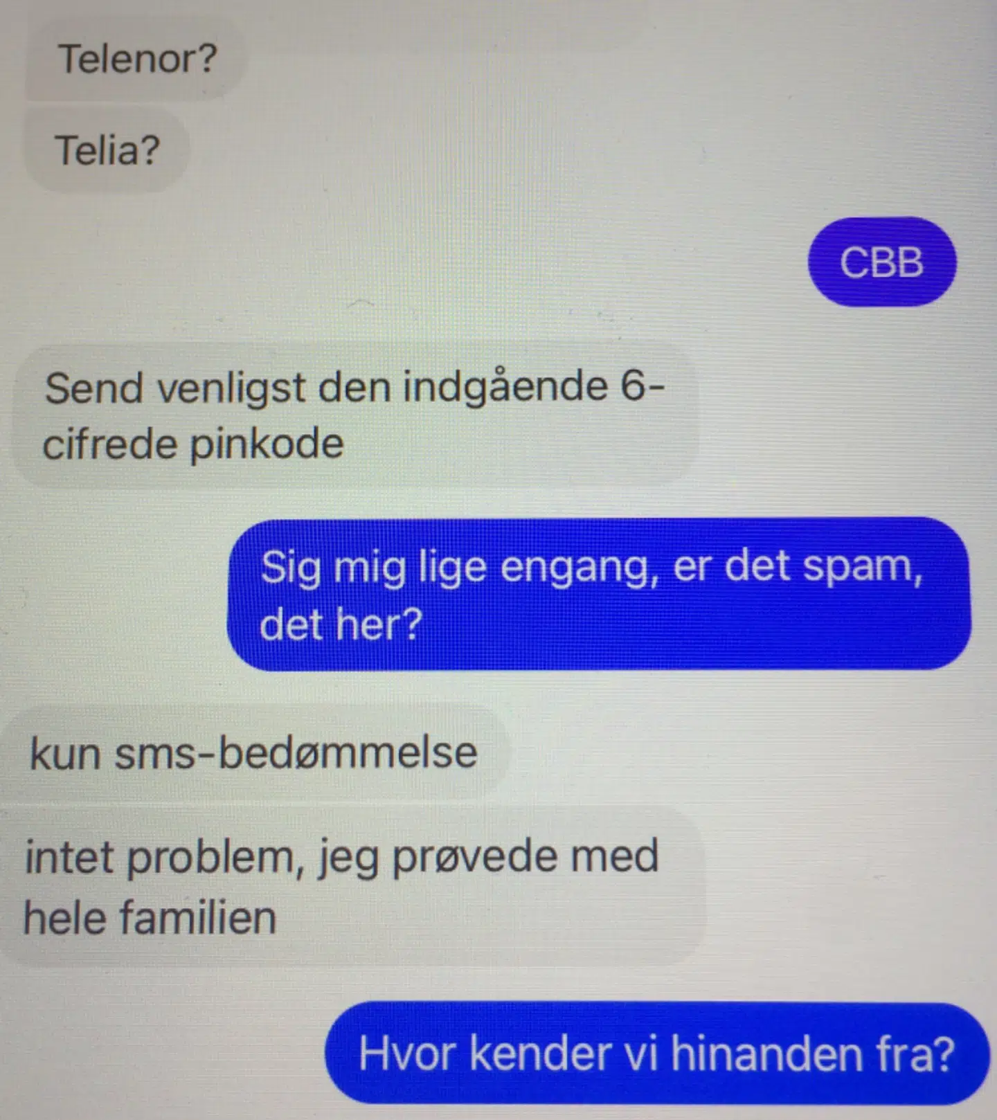 Samtalen mellem Lene og svindleren.