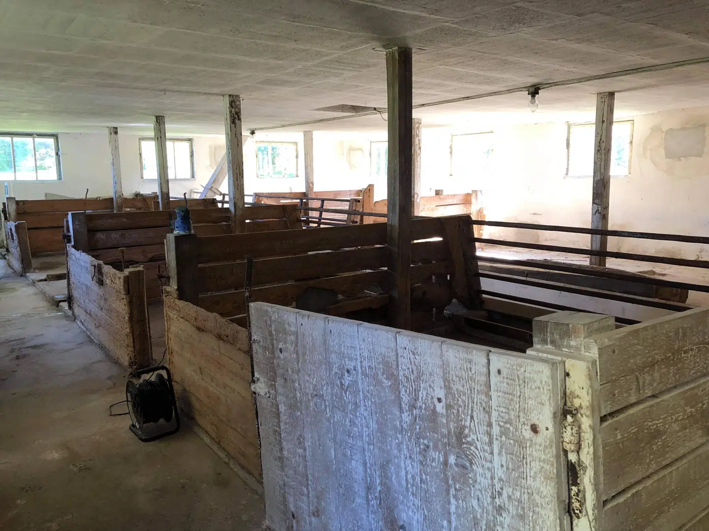 I disse båse ønsker Catherine Fogel at have forskellige landes olier, som besøgende kan smage.