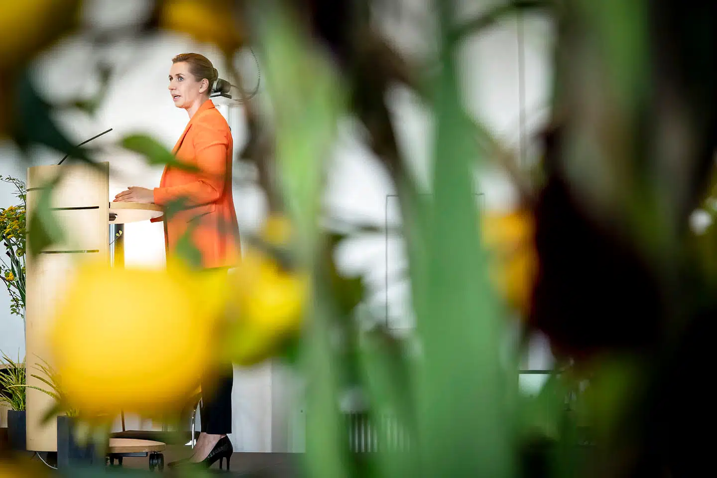 Statsminister Mette Frederiksen (S) vil være lige så grøn som rød, det kommer med en pris for hendes nyerhvervede vælgere.