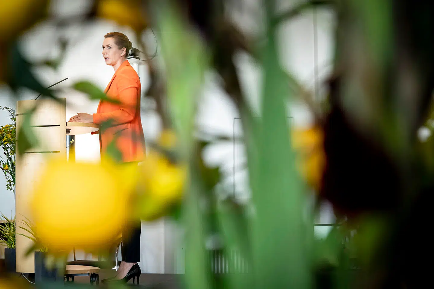 Statsminister Mette Frederiksen (S) vil være lige så grøn som rød, det kommer med en pris for hendes nyerhvervede vælgere.