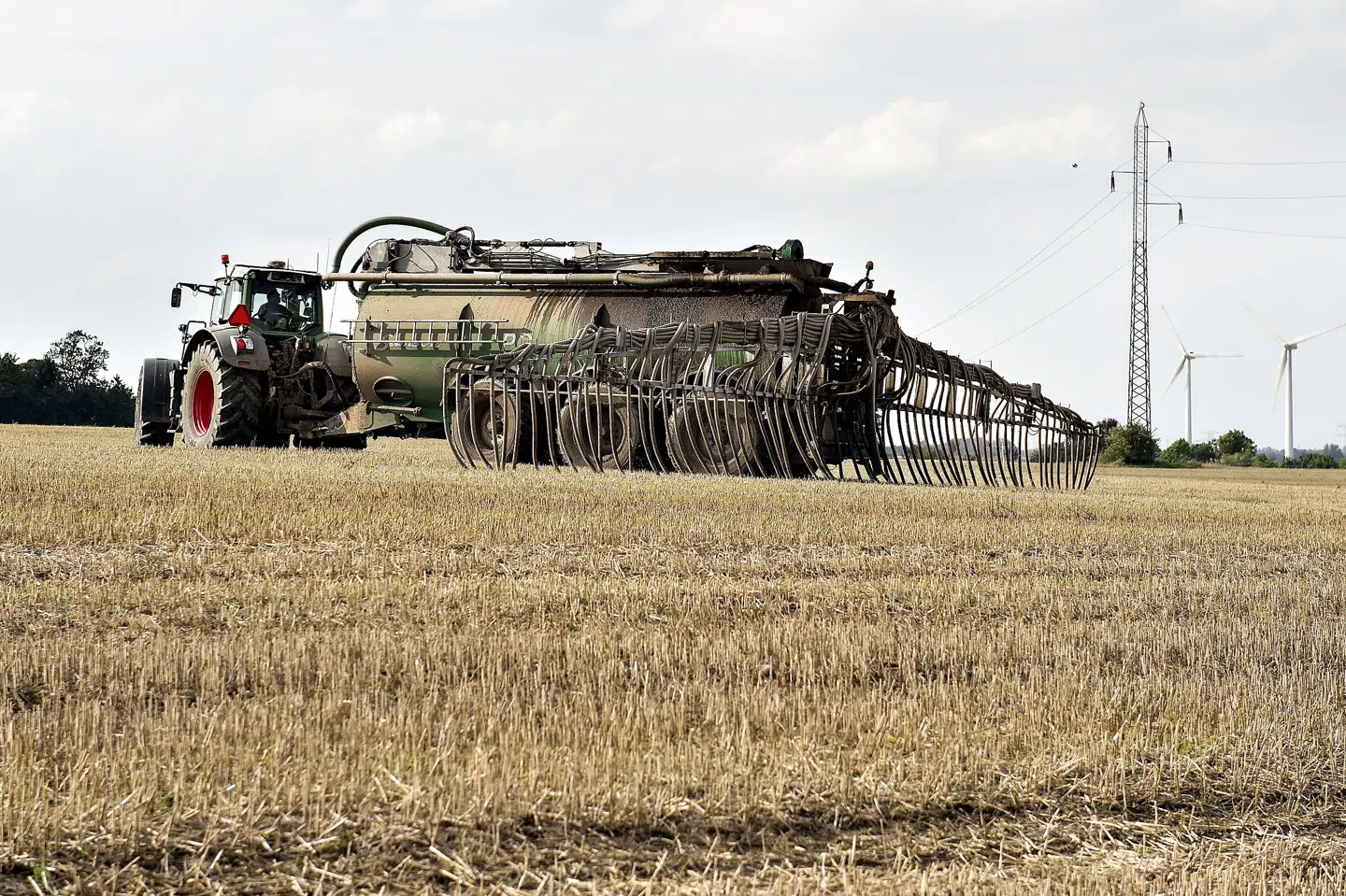 De små orme både vokser og reproducerer sig markant bedre i jord, der har fået slam og kogødning, end i jord, der har fået kunstgødning. Jorden har en bedre struktur, højere kulstofindhold og højere fugtighed, fortæller Jeanne Vuaille, forsker på Københavns Universitet. Henning Bagger/Ritzau Scanpix