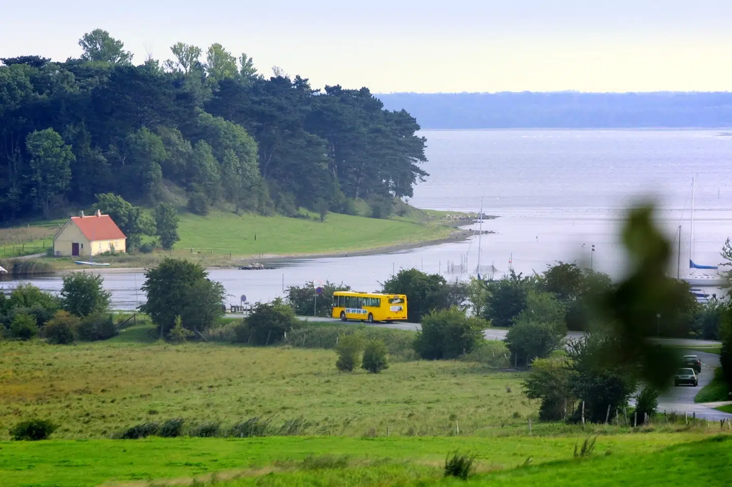 Den hvidhovedet er set ved Selsø sø på den sjællandske halvø Hornsherred. Siden er flere hundrede entusiaster troppet op for at se den sjældne fugl. Soeren Steffen/Ritzau Scanpix