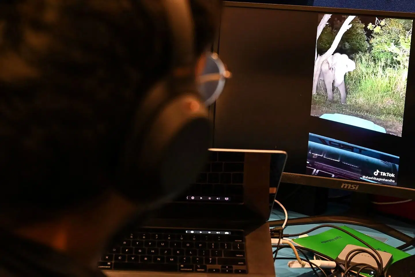 En mand ser på en TikTok-video af den vilde elefant på laptop i Colombo, Sri Lanka, 11. februar 2022.