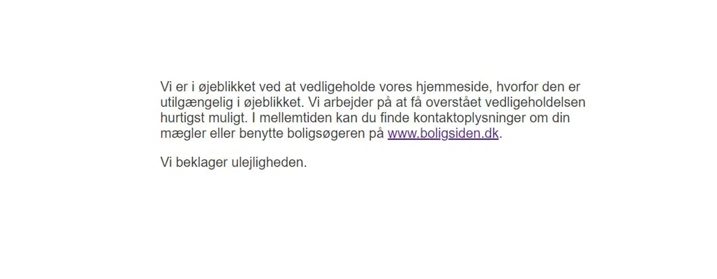 Sådan så det ud på Estates og Nyboligs hjemmesider under nedbruddet.