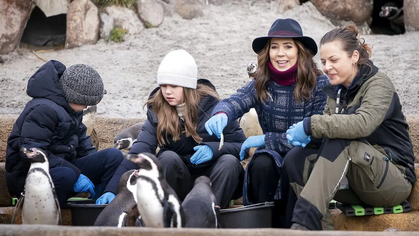 Kronprinsesse Mary besøger sammen med Prins Vincent og Prinsesse Josephine Zoologisk Have i København.